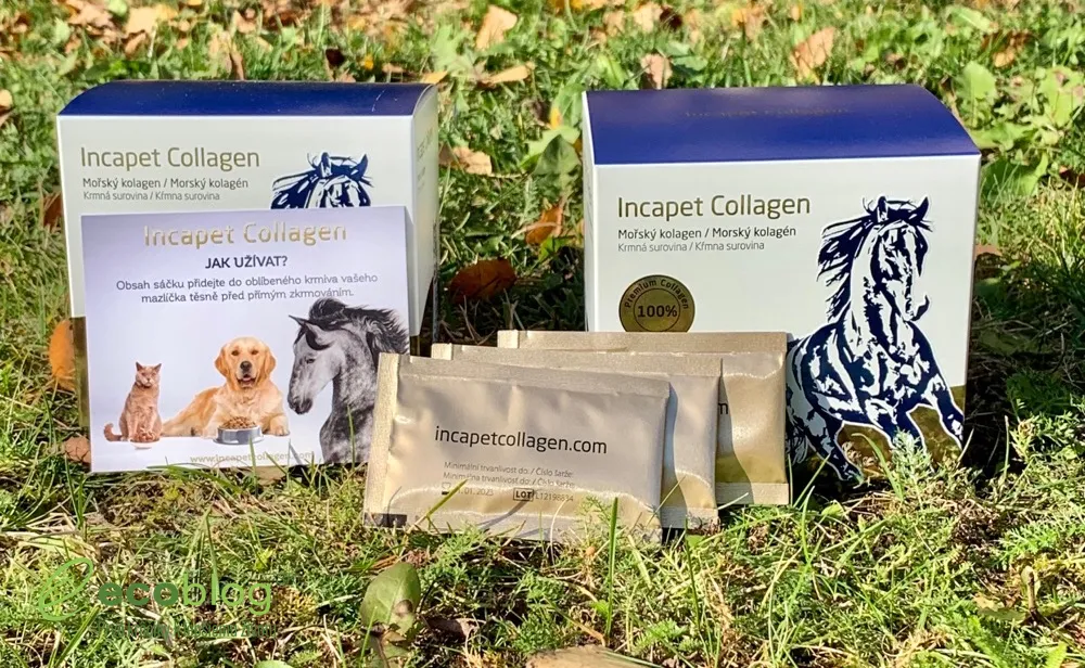 Obsah balenia Inca Collagen vrátane vitamínu C a vzorky