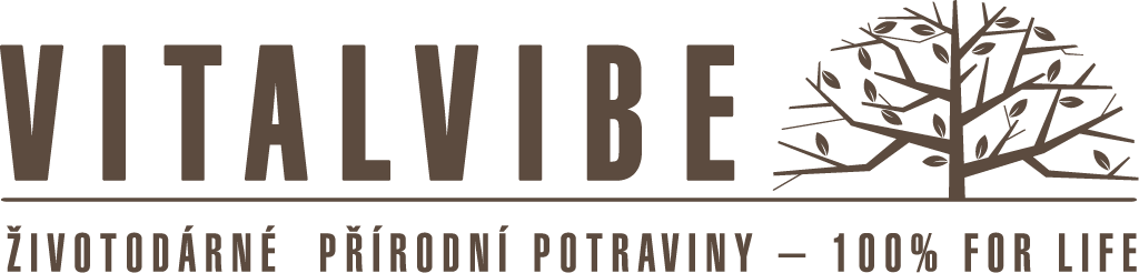 vitalvibe logo