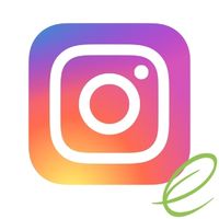 ecoblog instagram logo