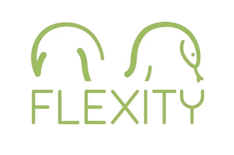 ecoblog flexity logo