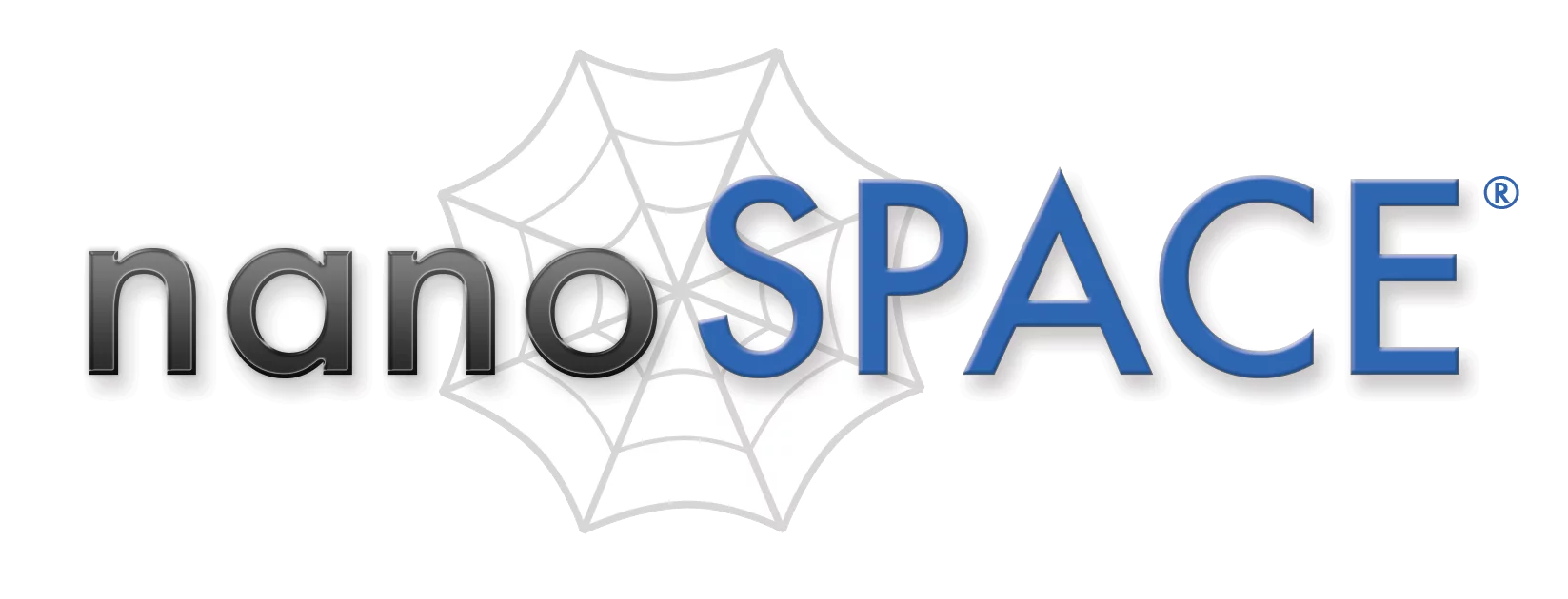 nanospace logo.png
